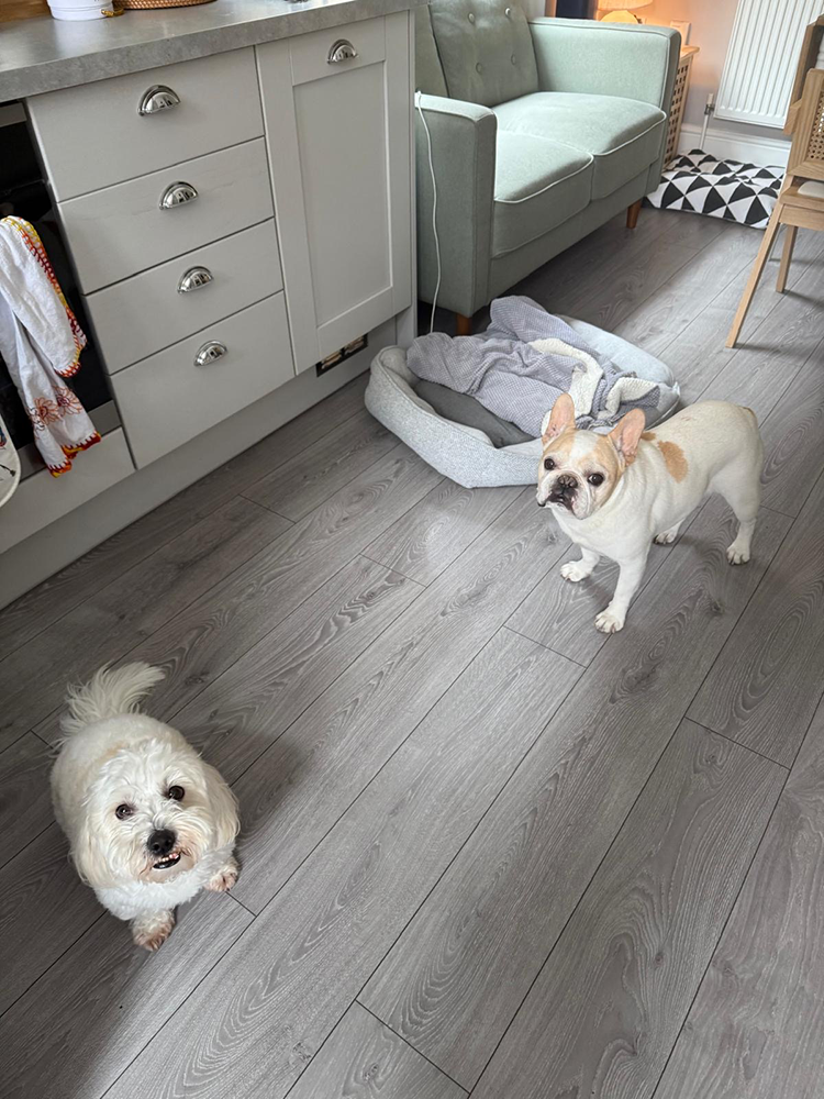 061721df-e375-45fe-a5a3-2509bb27a3bd 2