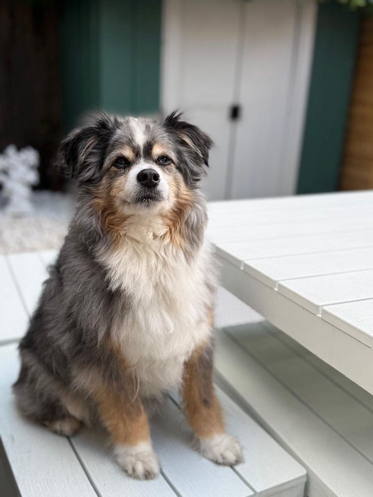 957ee19b-4f60-4c51-a577-e46f7d0d63a9 2