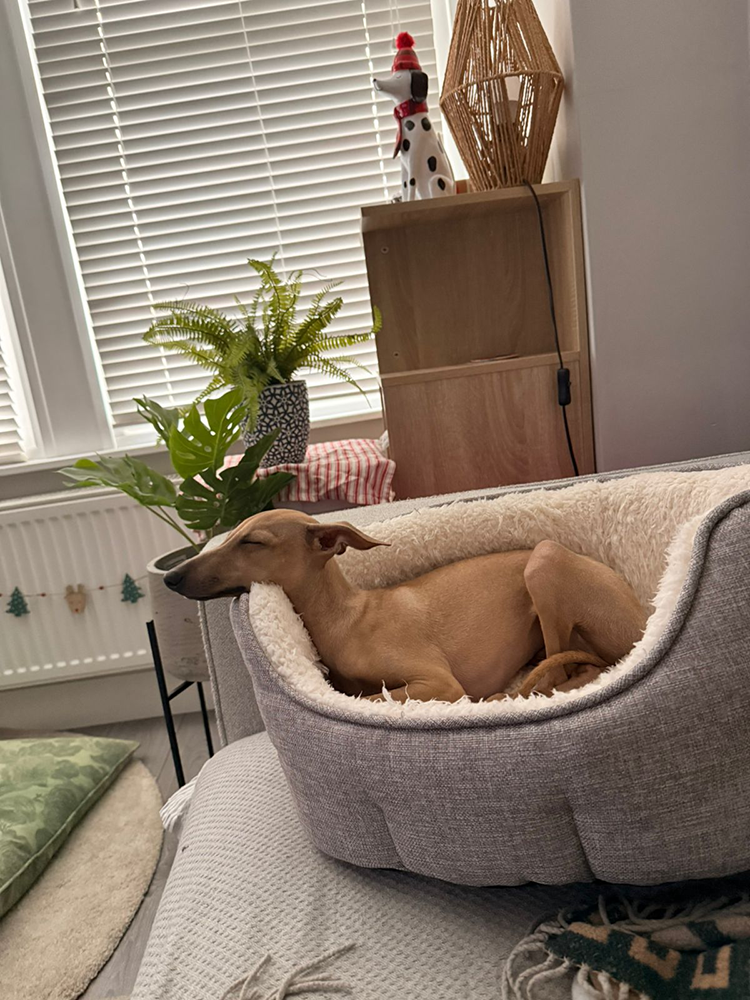 9dc00524-4855-43f6-a031-9492d0480b32 2