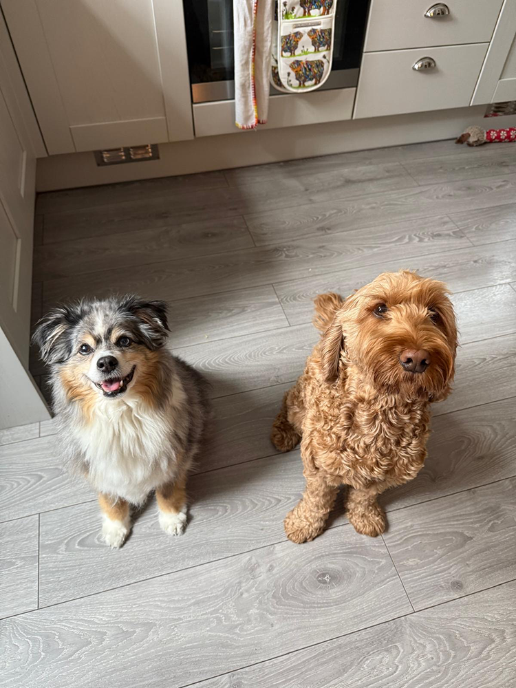 bfdd5e2a-6e27-4384-89a9-0eb68c0b45b5 2