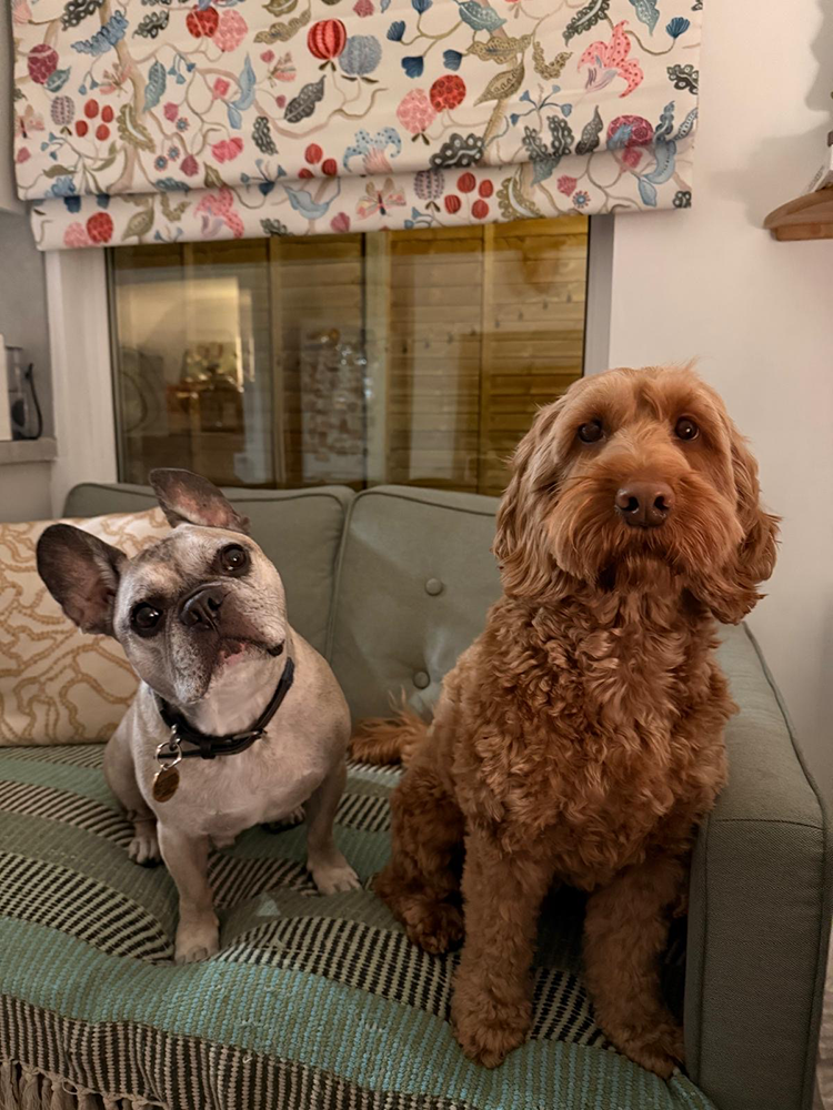 d4cbff8a-c39e-4884-8de8-26d2a4c10a05 2